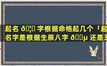 起名 🦆 字根据命格起几个「起名字是根据生辰八字 🌵 还是五格起」